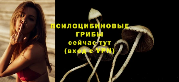 ГАЛЛЮЦИНОГЕННЫЕ ГРИБЫ Аркадак