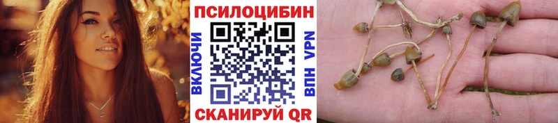 Галлюциногенные грибы мухоморы  наркотики  Бирюч 