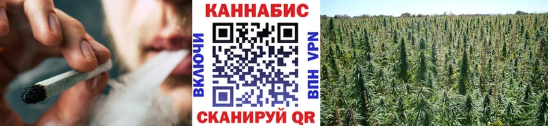 Бошки Шишки конопля  Бирюч 